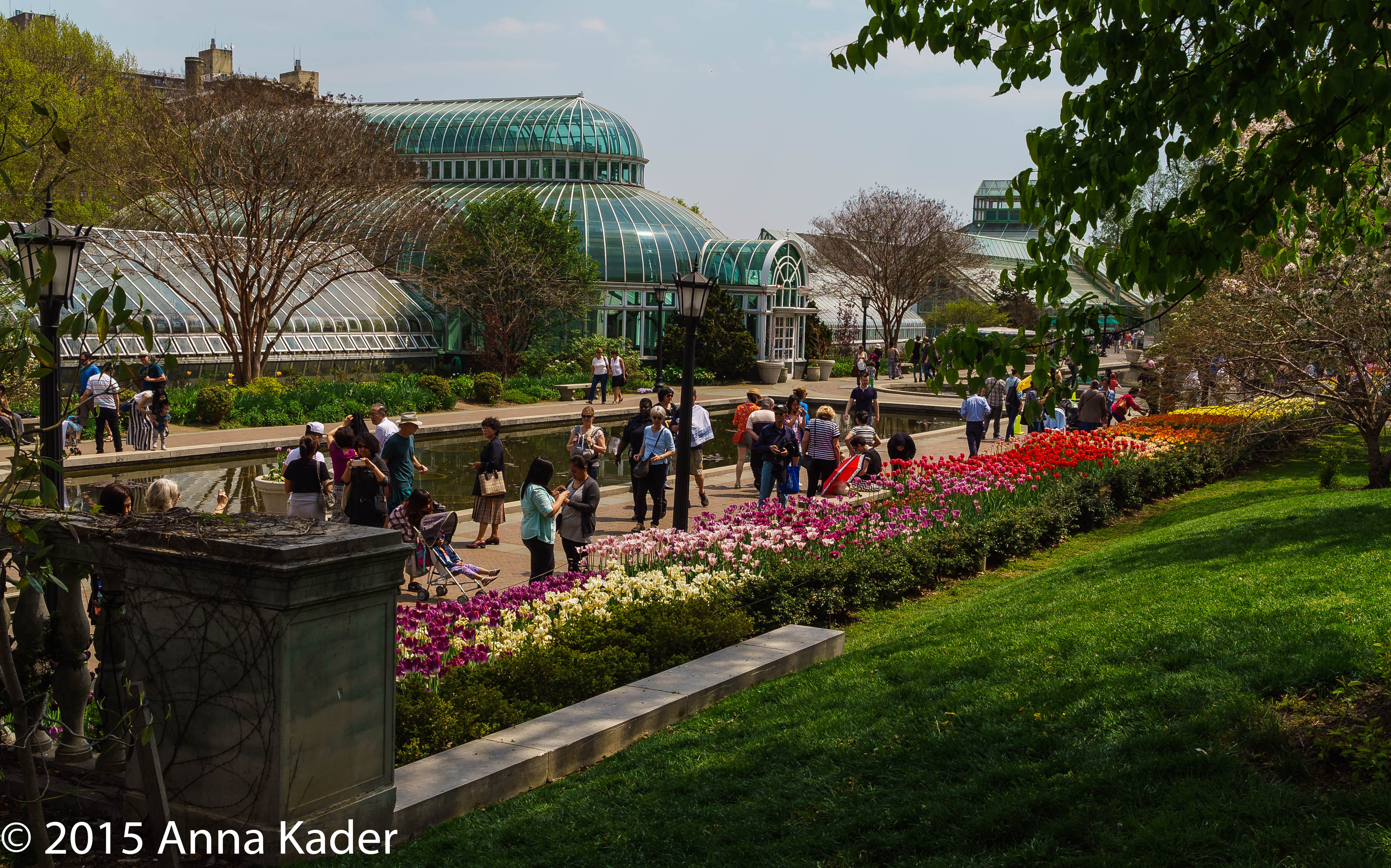 Brooklyn Botanic Garden 